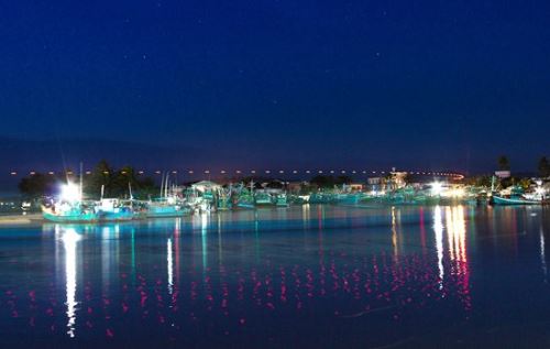 NIGHT SQUID FISHING 